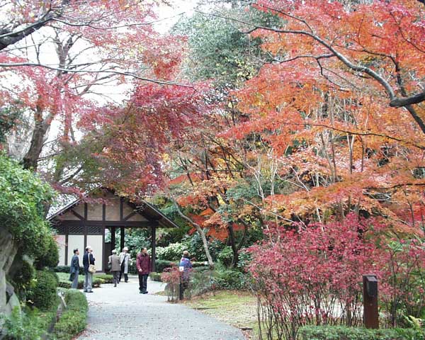 大山崎山荘 大山崎山荘