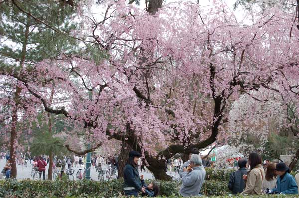 京都 京都